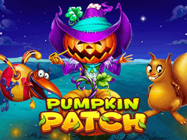 Pumpkin Patch