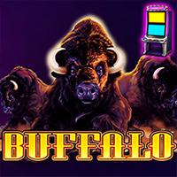 BUFFALO